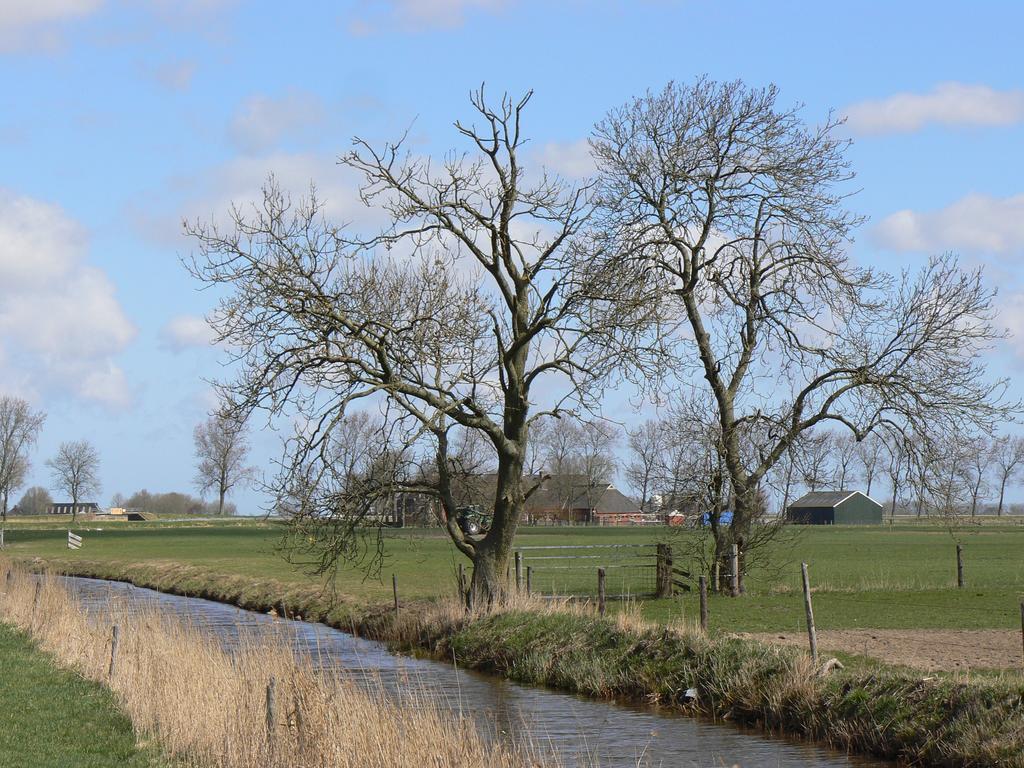 Groningen Buiten B&B Zuidhorn מראה חיצוני תמונה