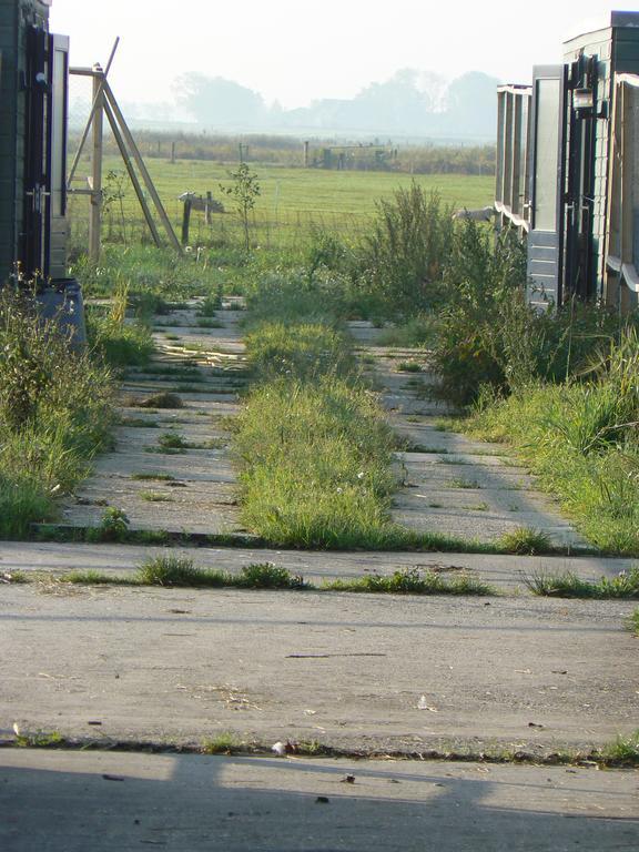 Groningen Buiten B&B Zuidhorn מראה חיצוני תמונה
