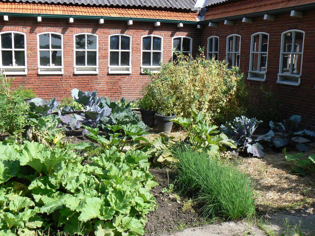 Groningen Buiten B&B Zuidhorn מראה חיצוני תמונה