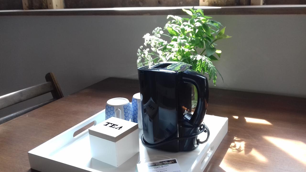 Groningen Buiten B&B Zuidhorn מראה חיצוני תמונה
