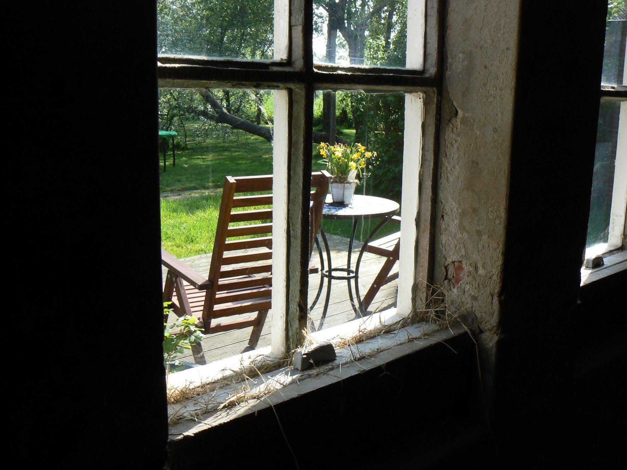 Groningen Buiten B&B Zuidhorn מראה חיצוני תמונה