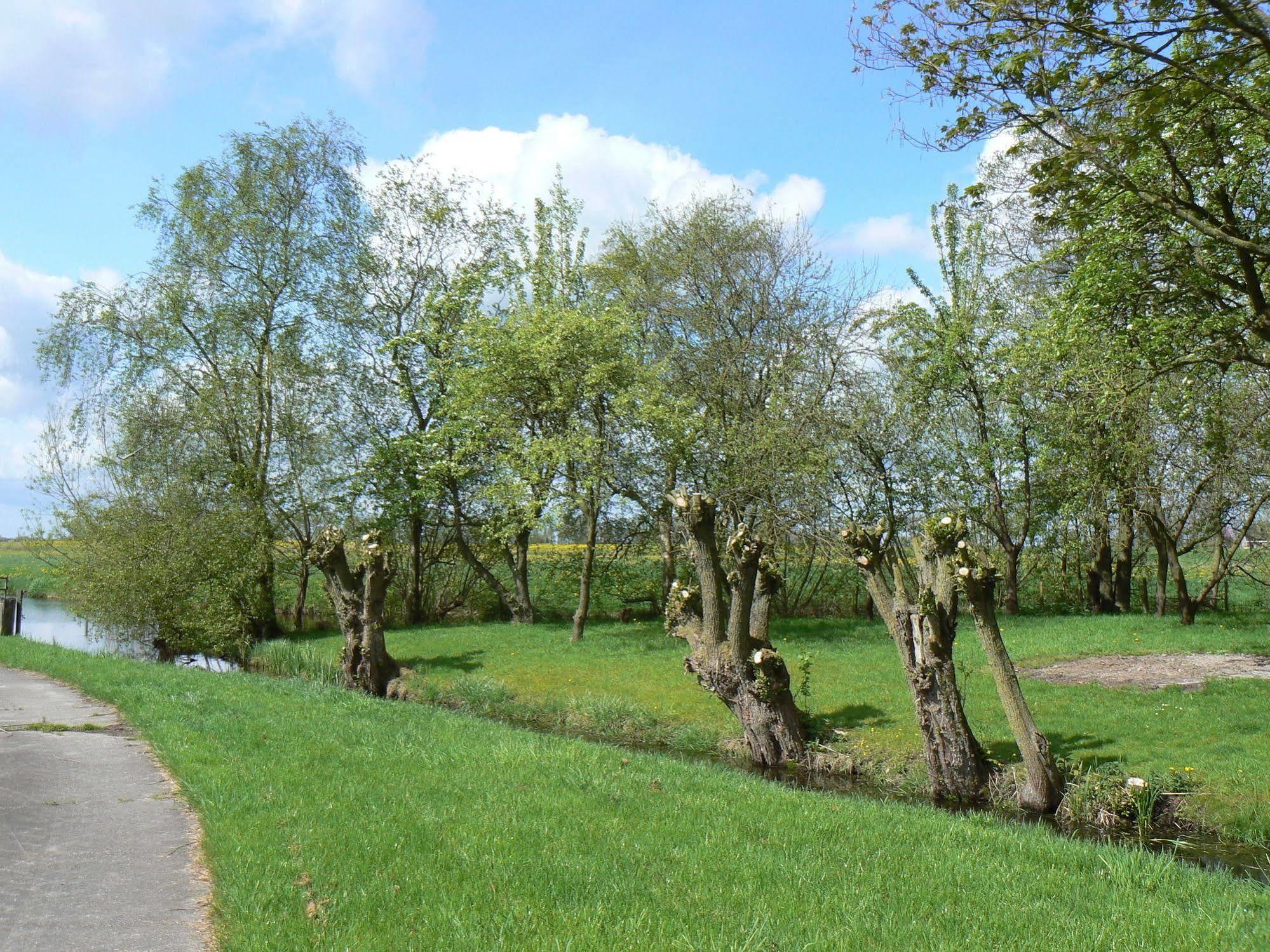 Groningen Buiten B&B Zuidhorn מראה חיצוני תמונה